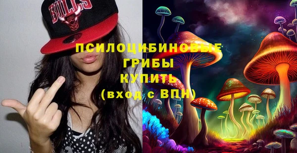 меф Белокуриха