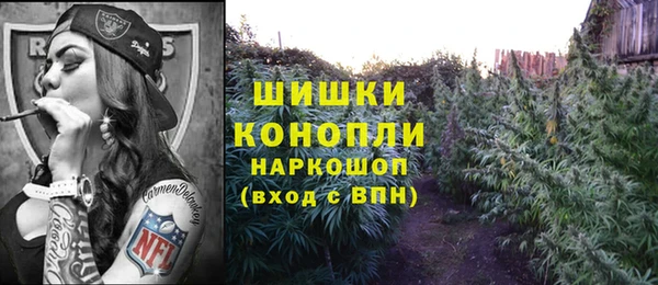 PSILOCYBIN Белоозёрский