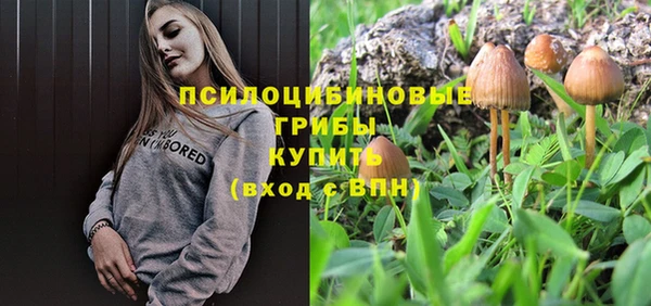 меф Белокуриха