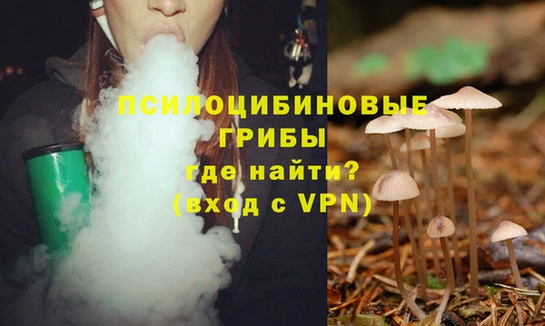PSILOCYBIN Белоозёрский