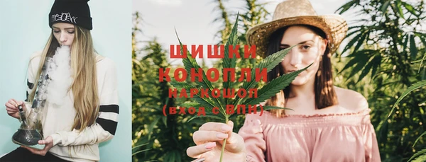 PSILOCYBIN Белоозёрский