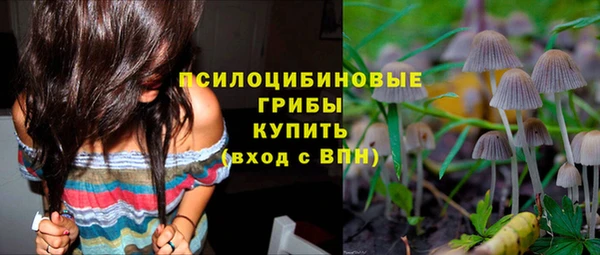 меф Белокуриха