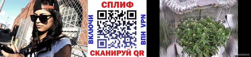 магазин    Бирюч  Шишки марихуана семена 
